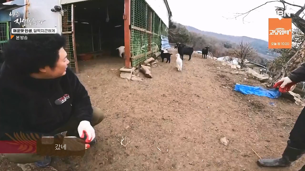 나는 자연인이다.E585.231221p-NEXT.mp4_20231221_200835.326.jpg