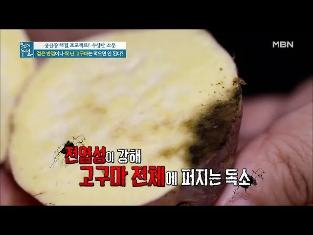 썩은 고구마 구별법 안전하게 먹기_1