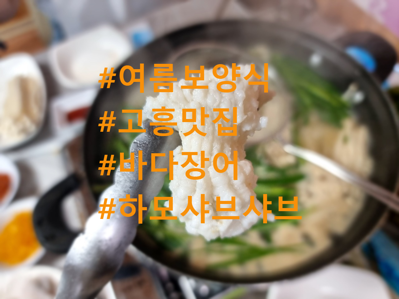  여름 보양식 고흥 바다장어 샤브샤브 맛집, 아나고, 하모샤브샤브, 고흥맛집, 고흥여행