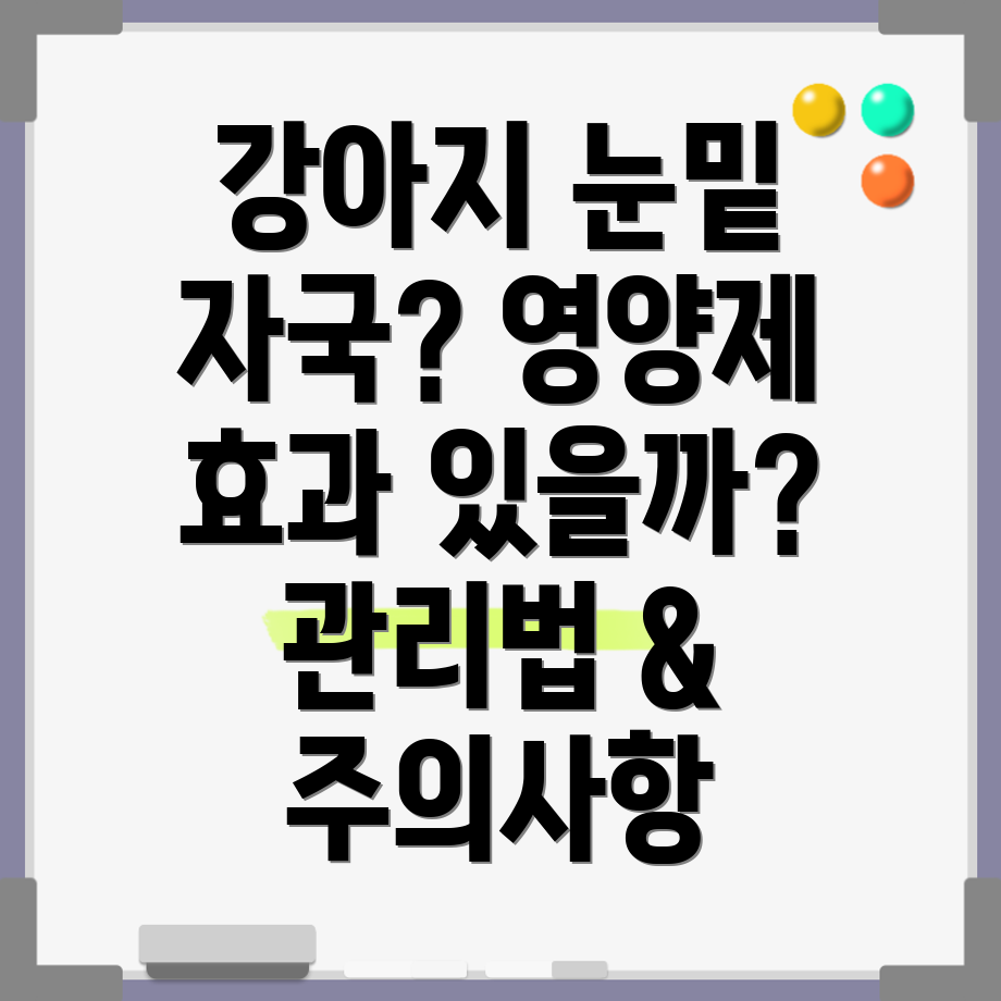 강아지 눈밑 자국