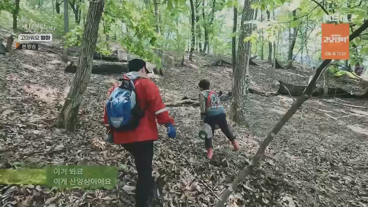 나는 자연인이다.E554.230518p.H264-F1RST.mp4_20230518_194515.708.jpg