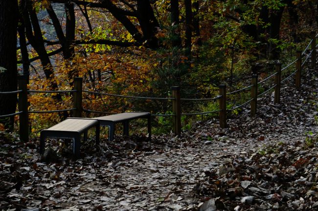 어두운 그림자 그늘속&#44; 수북한 낙엽 쌓인 산책길에 목재 벤치 2개&#44; 좌측에 안전 로프 난간&#44; 나무숲에 가려 안보이는 강물&#44;