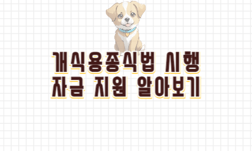 개식용종식법 시행