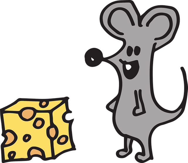 생쥐와 에멘탈 치즈