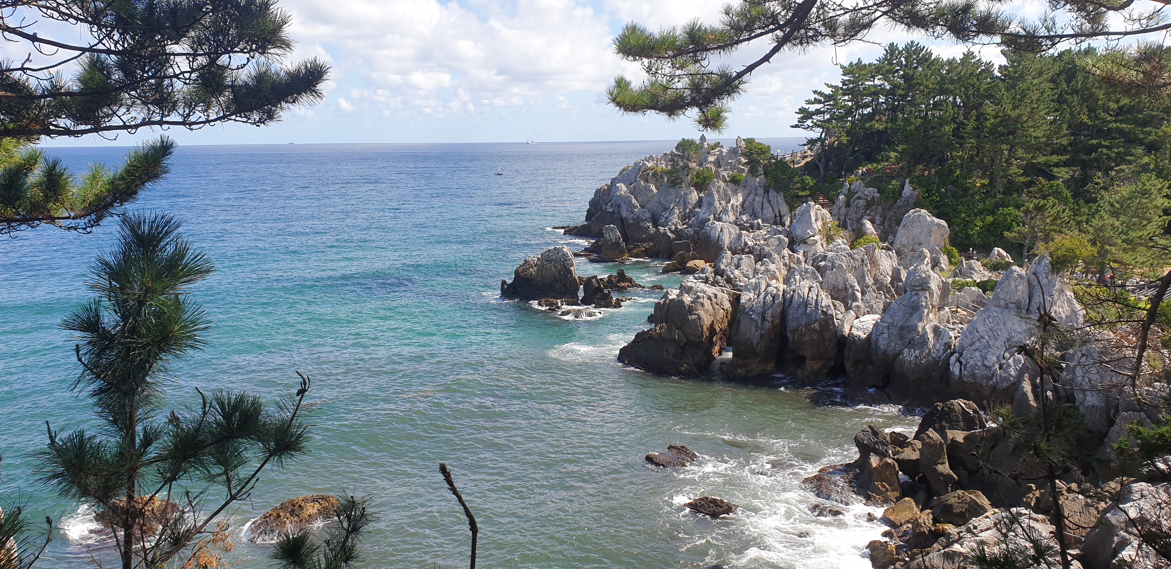 동해 추암촛대바위와 출렁다리 / 동해 여행 추천