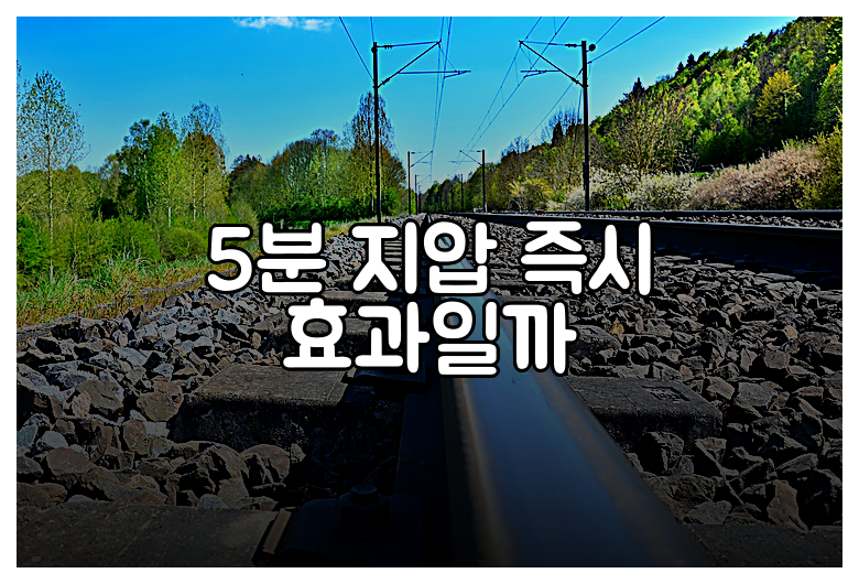 5분 지압 즉시 효과일까