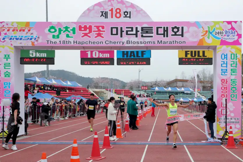 합천 벚꽃 마라톤대회 사진