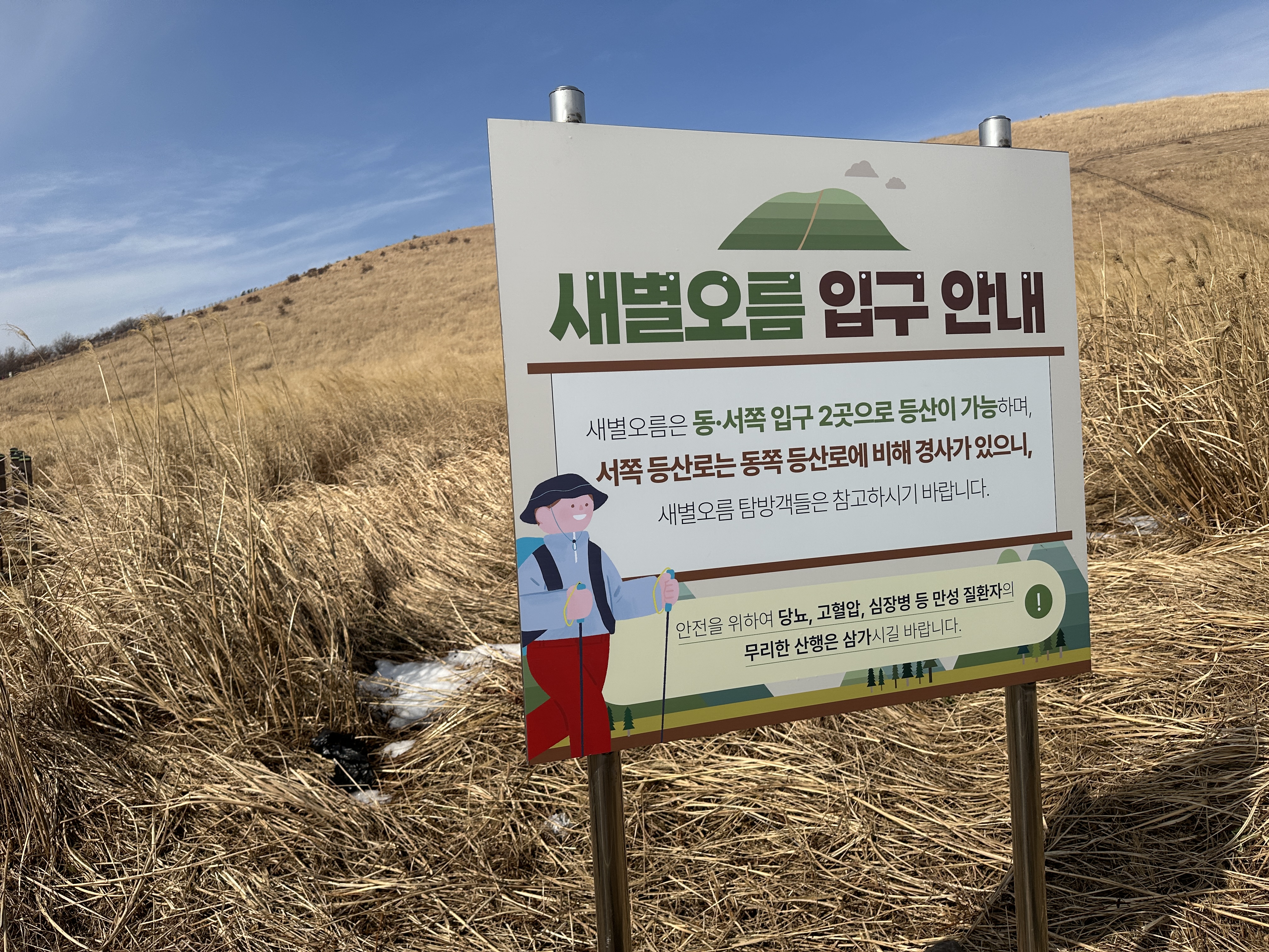 새별오름 2023년 제주 들불축제 기간 주차장 카페