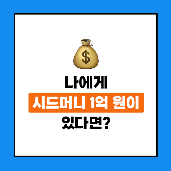 나에게 시드머니 1억 원이 있다면?