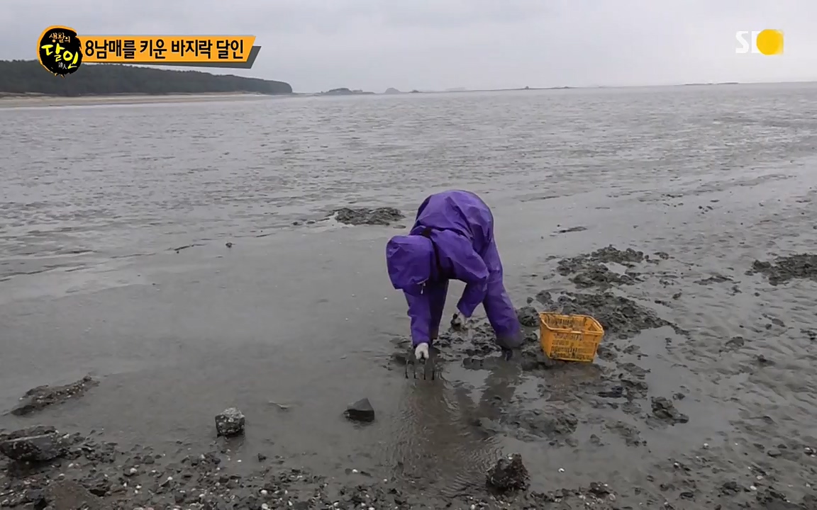 생활의 달인.E835.220322p-NEXT.mp4_20220322_181956.832.jpg