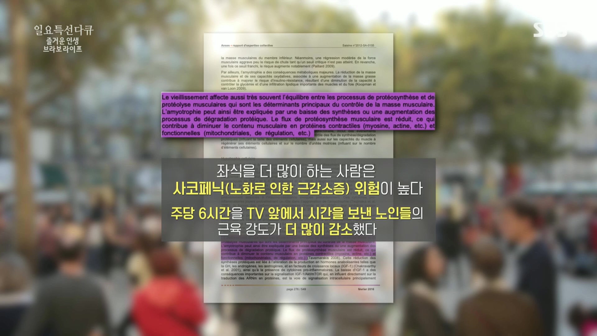 일요 특선 다큐멘터리.E292.221016p.H264-F1RST.mp4_20221018_182525.995.jpg