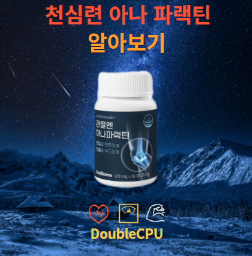 천심련 아나 파랙틴