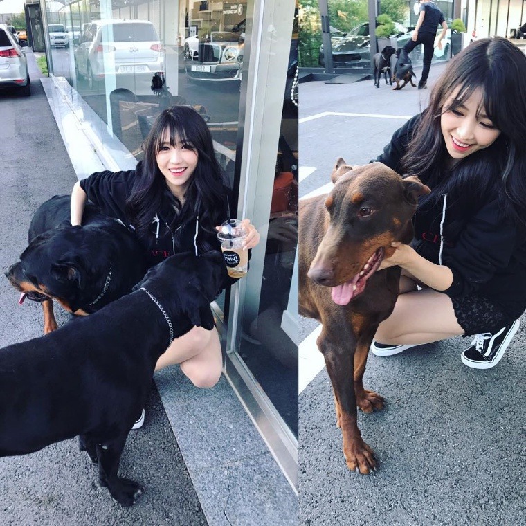  레이싱 모델 이은혜 사진 모음