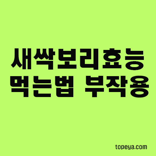  새싹보리 효능 및 부작용