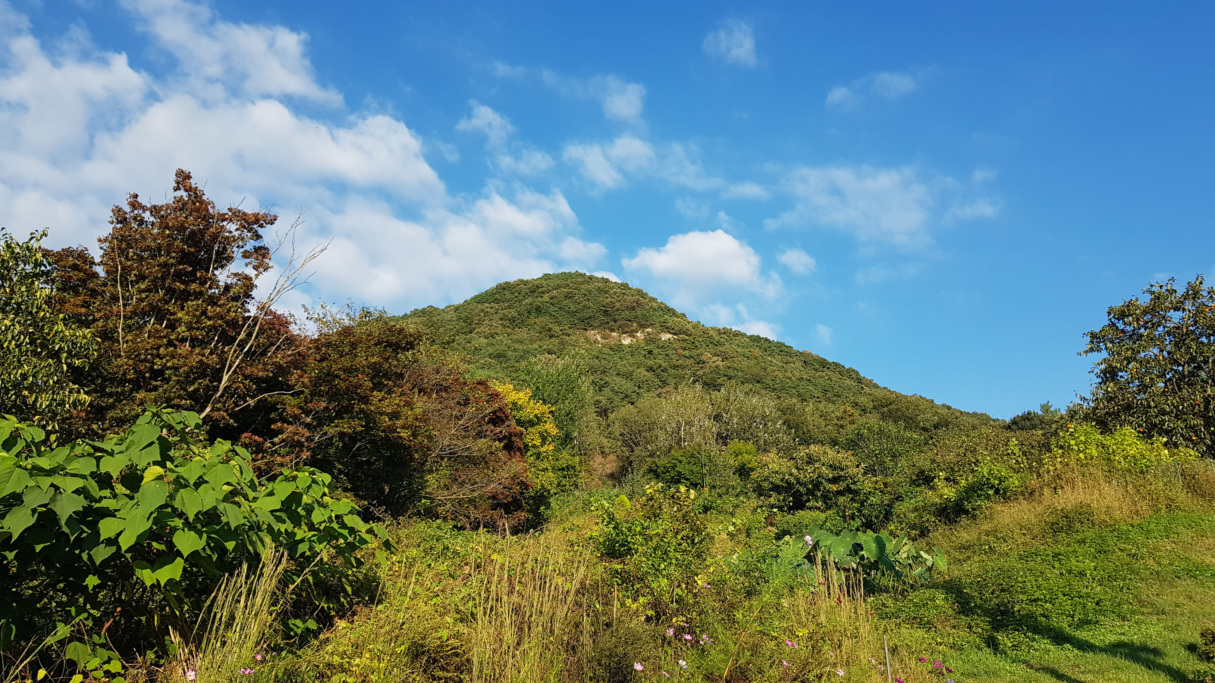 많은 이야기를 품고 있는 제비산