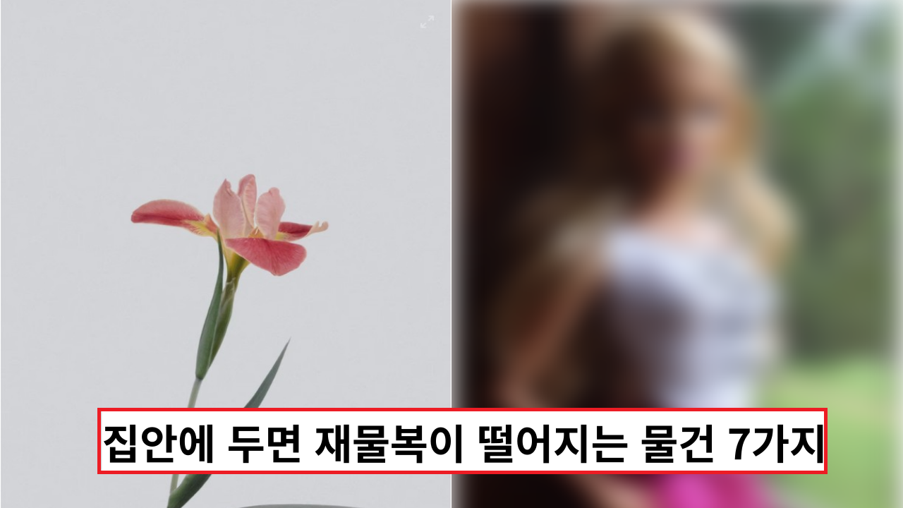  집안에 두면 재물복이 떨어지는 물건 7가지