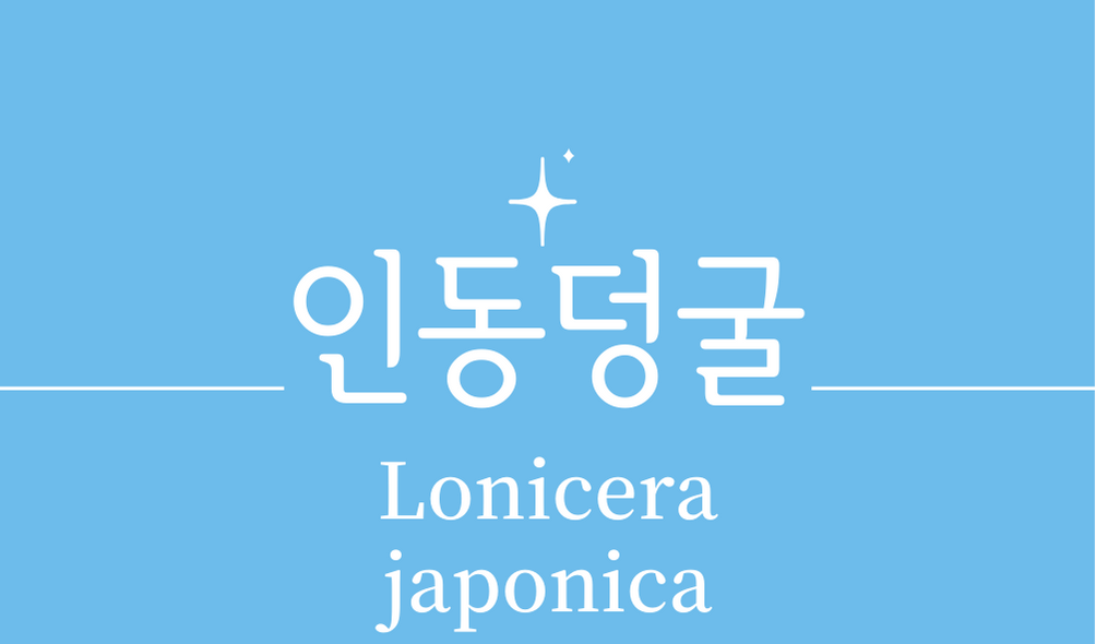 &#39;인동덩굴(Lonicera japonica)&#39;