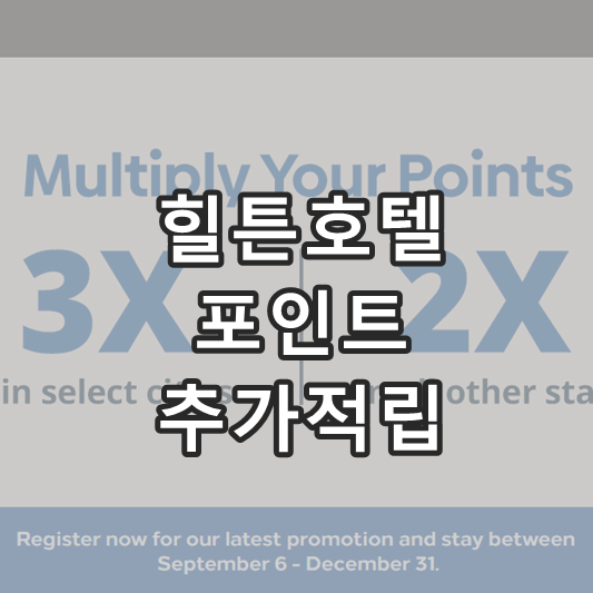 Hilton double point promotion