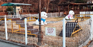 반려견과 함께하는 전국휴게소