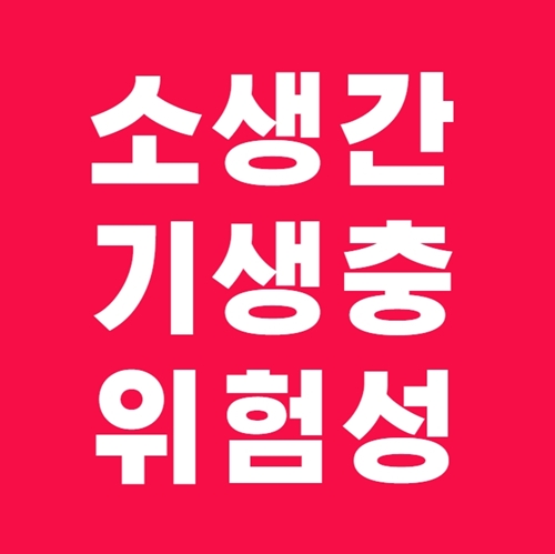  소생간 기생충 위험성과 천엽