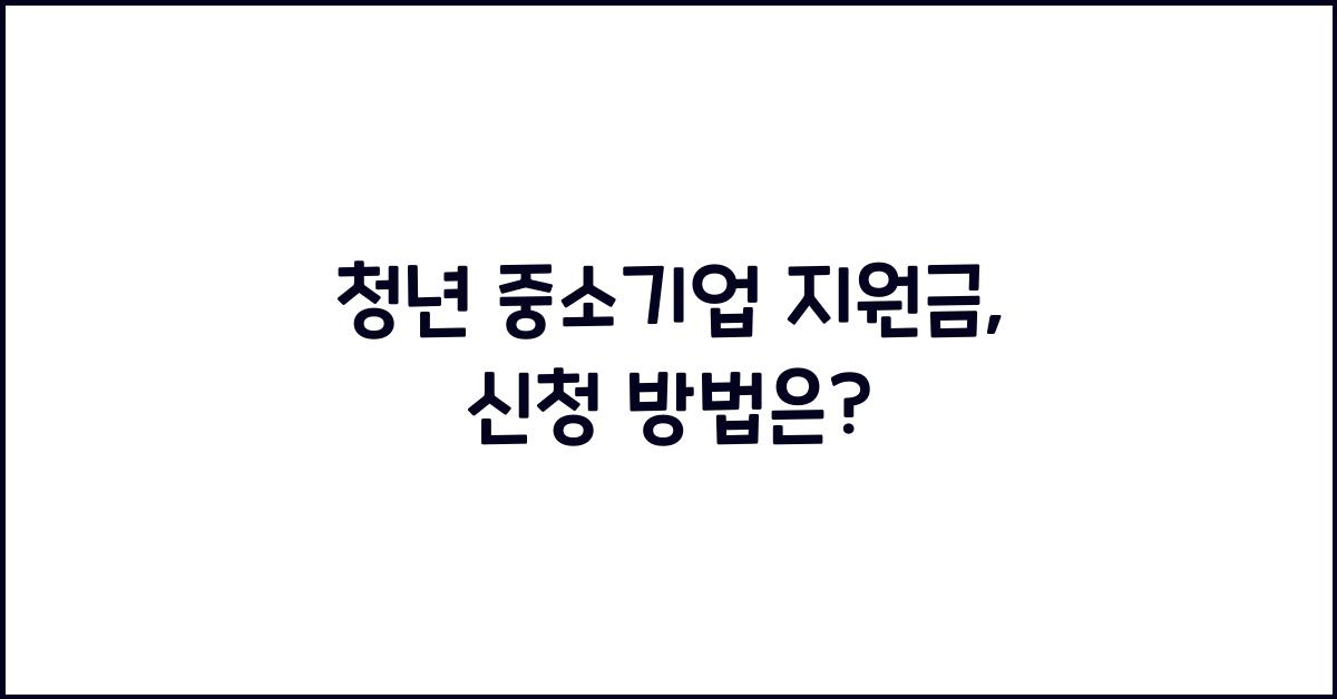 청년 중소기업 지원금
