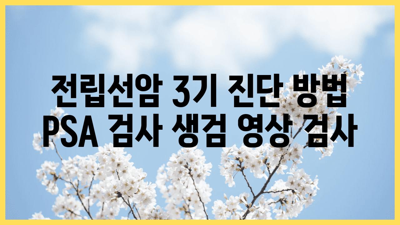 전립선암 3기 진단 방법 PSA 검사 생검 영상 검사