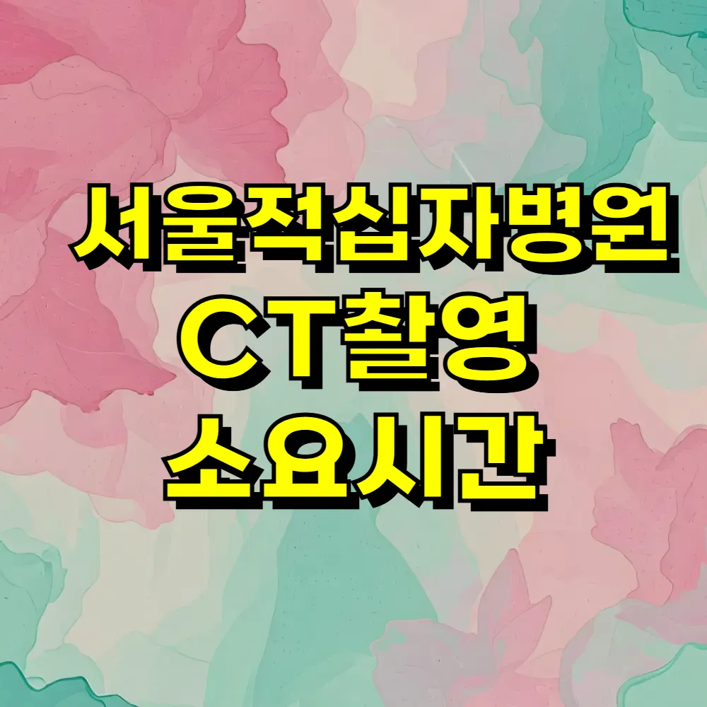 서울적십자병원 CT촬영 소요시간
