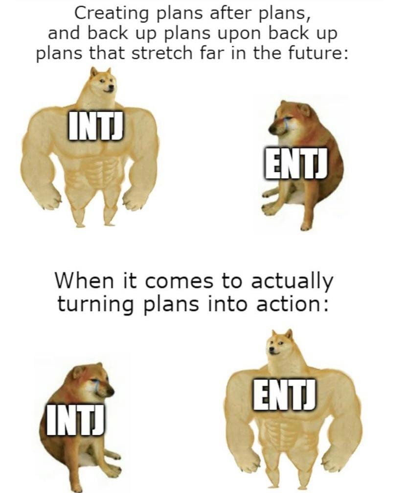 intj-밈-meme