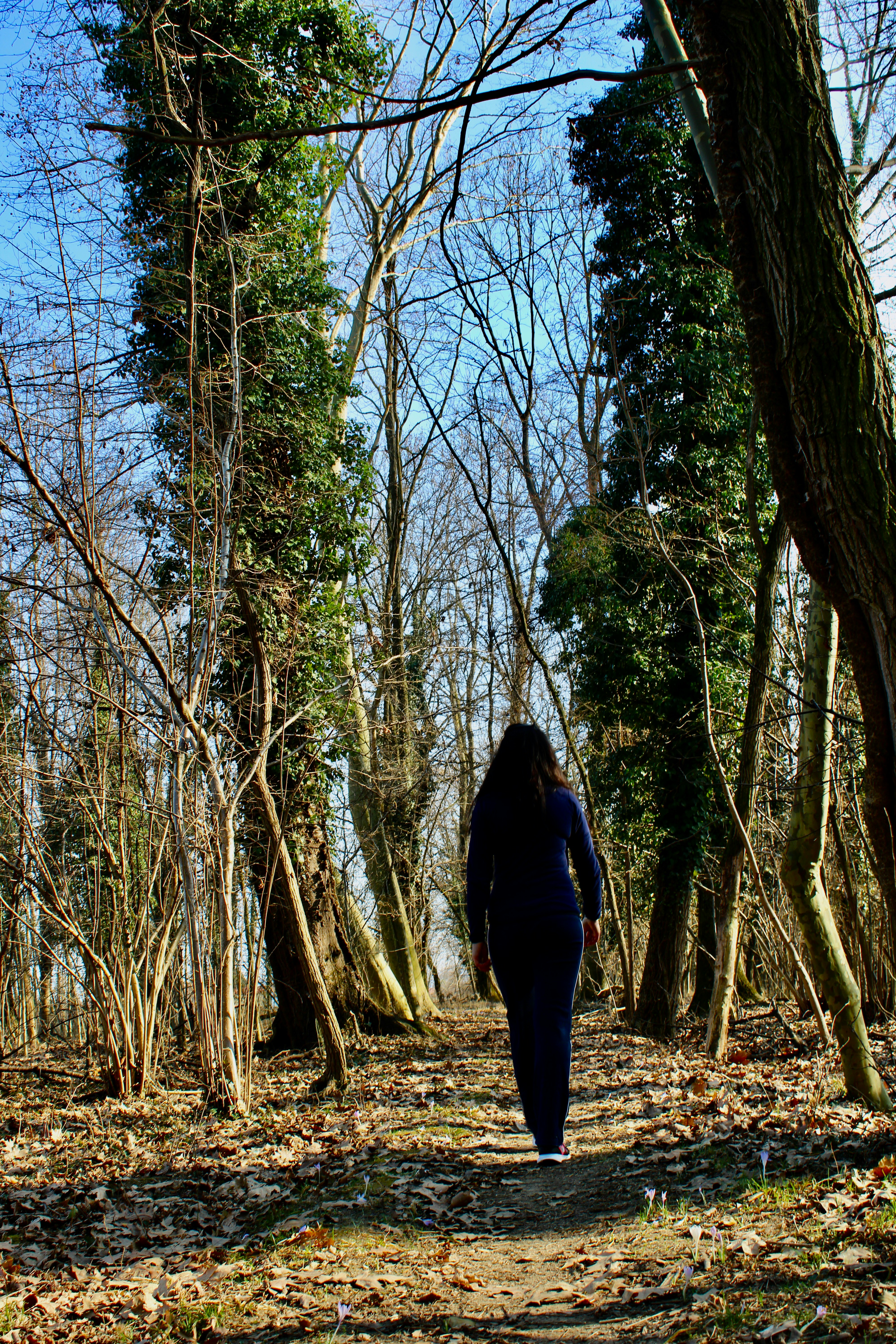 Walking in Nature for Anxiety Relief