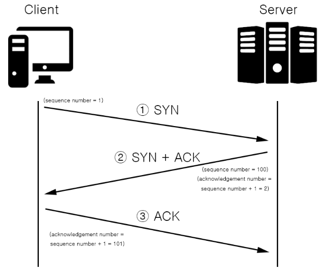  TCP vs UDP