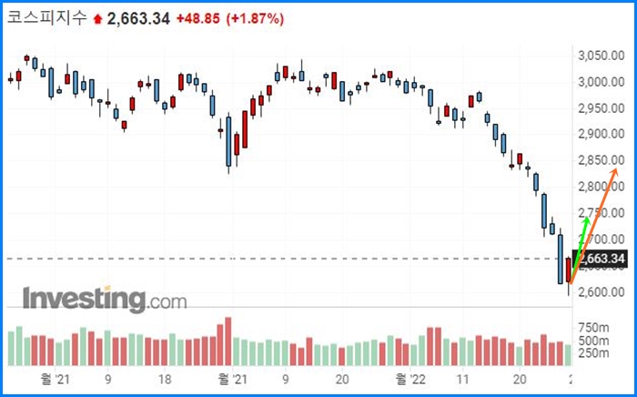 한국증시 폭락, 반등할까? 18