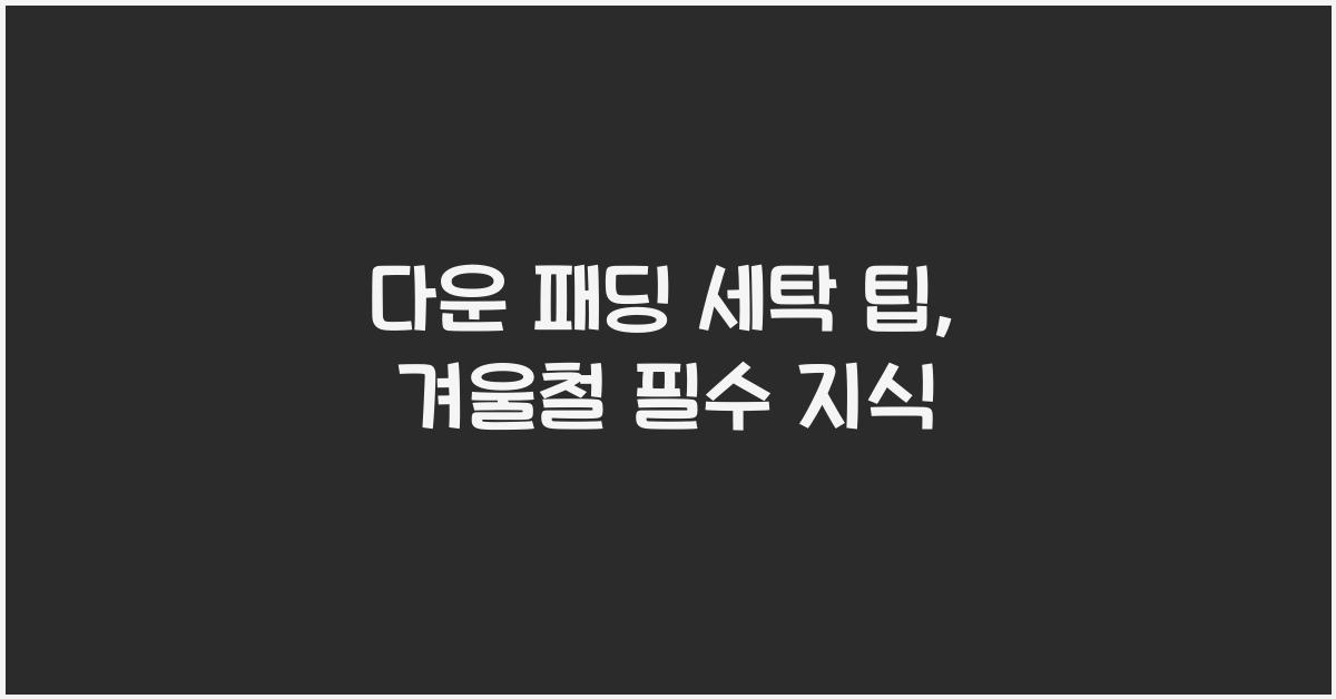 다운 패딩 세탁 팁