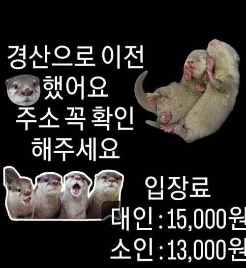 이웃집수달