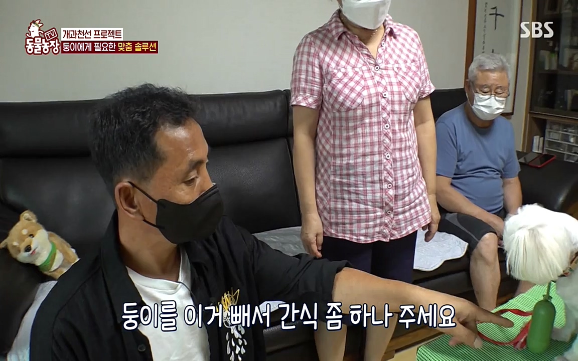 TV 동물농장.E1085.220905p-NEXT.mp4_20220904_173533.616.jpg