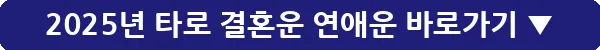 2025년 타로 결혼운 연애운_13
