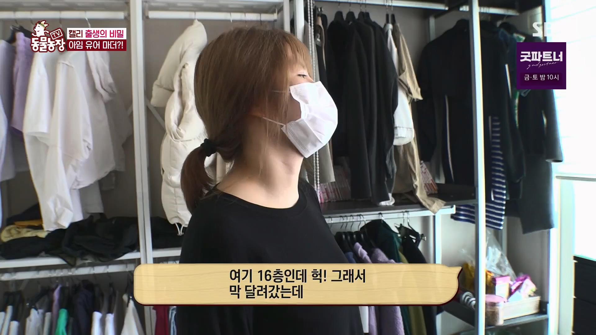 TV 동물농장.E1180.240714p.H264-F1RST.mp4_20240715_201733.545.jpg