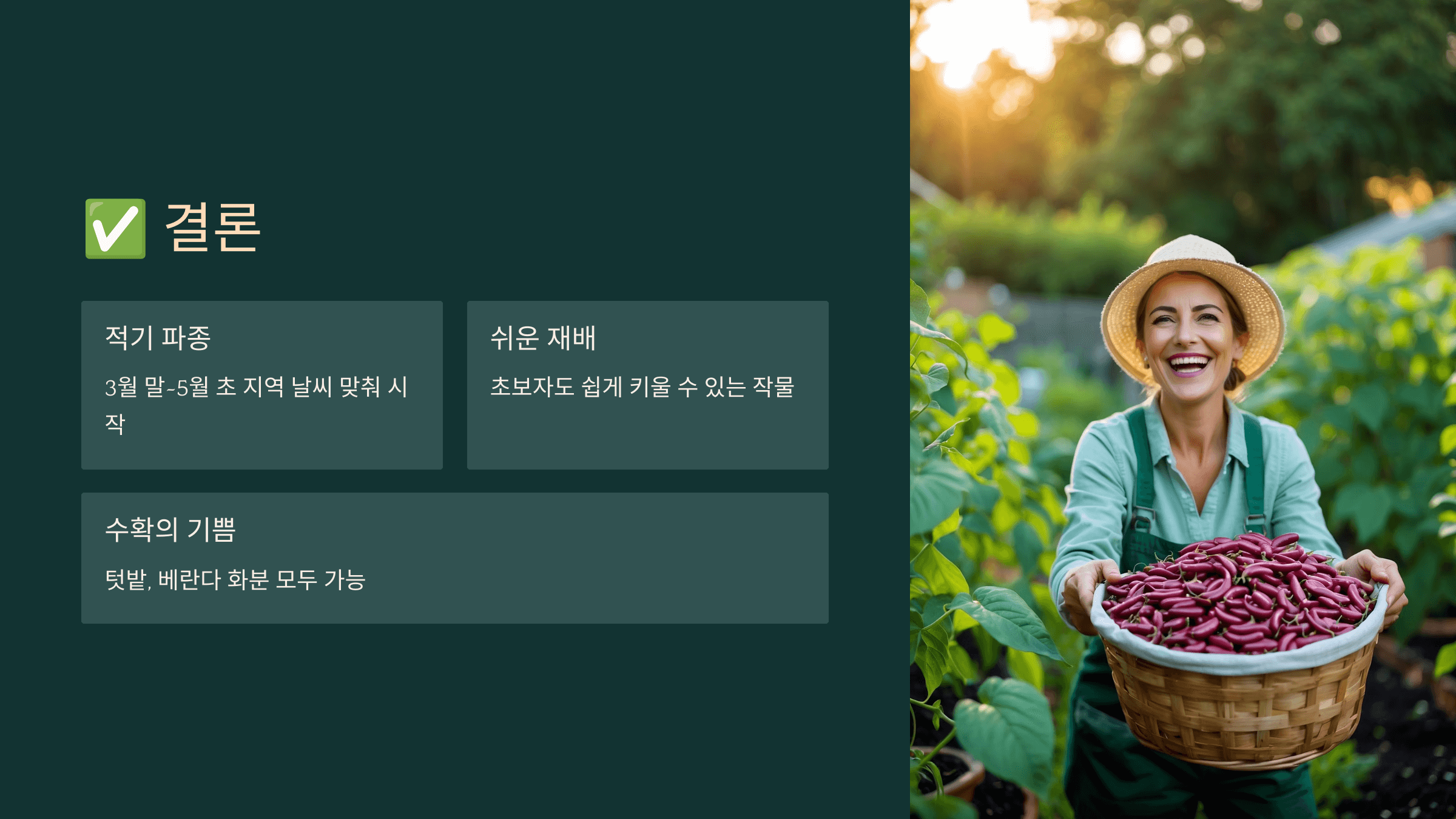 강낭콩 사진입니다.