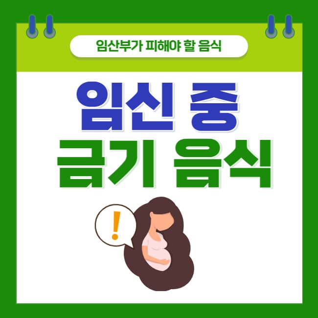  임산부가 피해야 할 음식(feat. 임신 중 금기 음식)