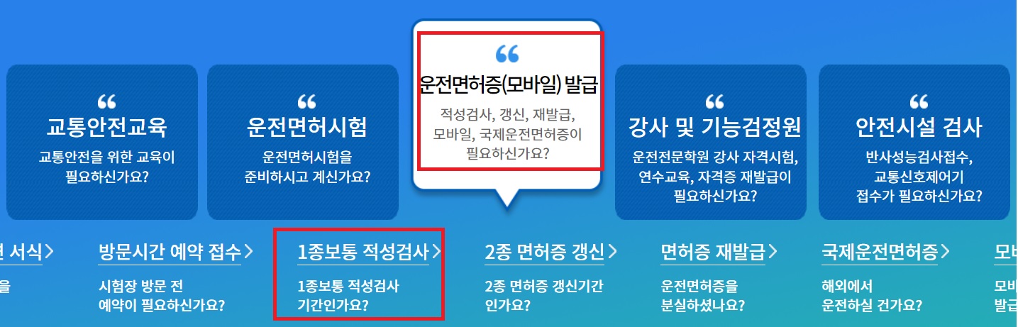 운전면허 적성검사 갱신 온라인 신청방법 - &#39;운전면허증(모바일) 발급&#39; 및 &#39;1종 보통 적성검사&#39;를 선택