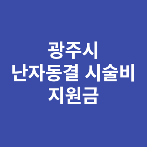 광주시 난자동결 시술비