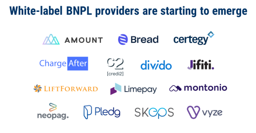 12가지 기술 전망_BNPL(Buy Now Pay Later)