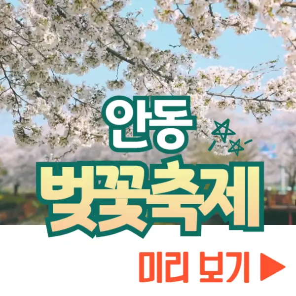 안동 벚꽃축제 보기