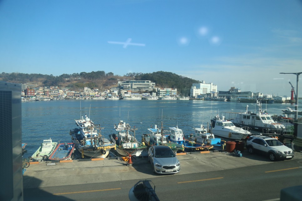 꼼장어 ; 좋아요 ! 17