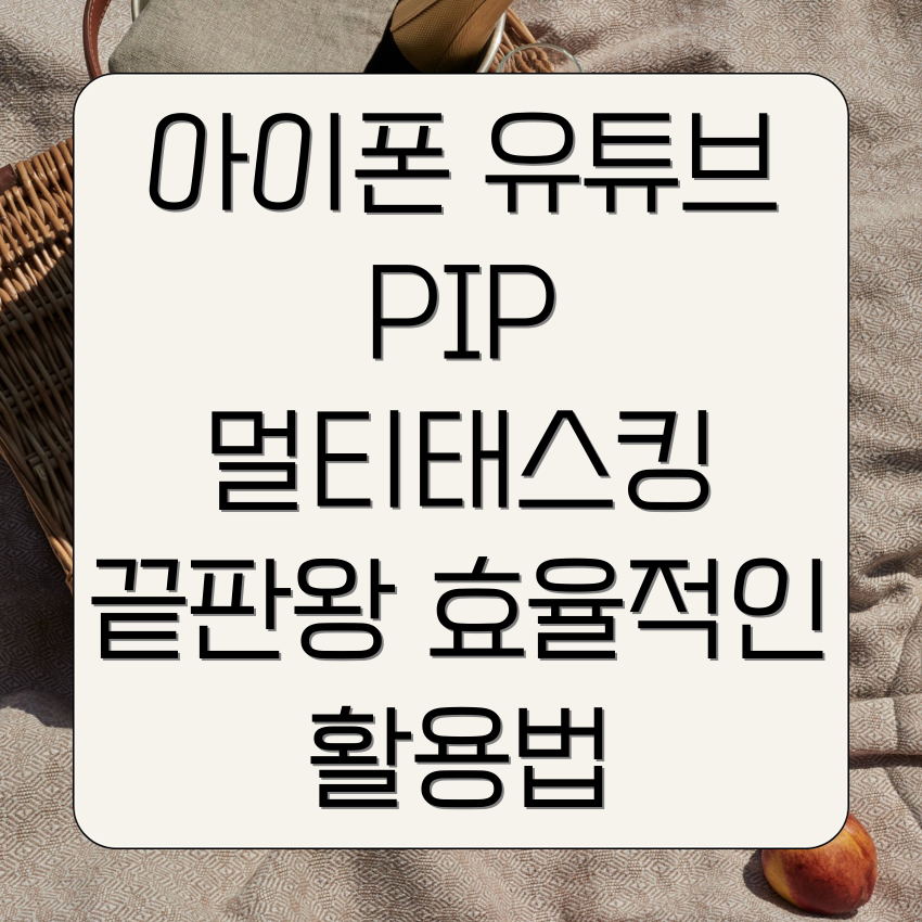 아이폰 유튜브 PIP