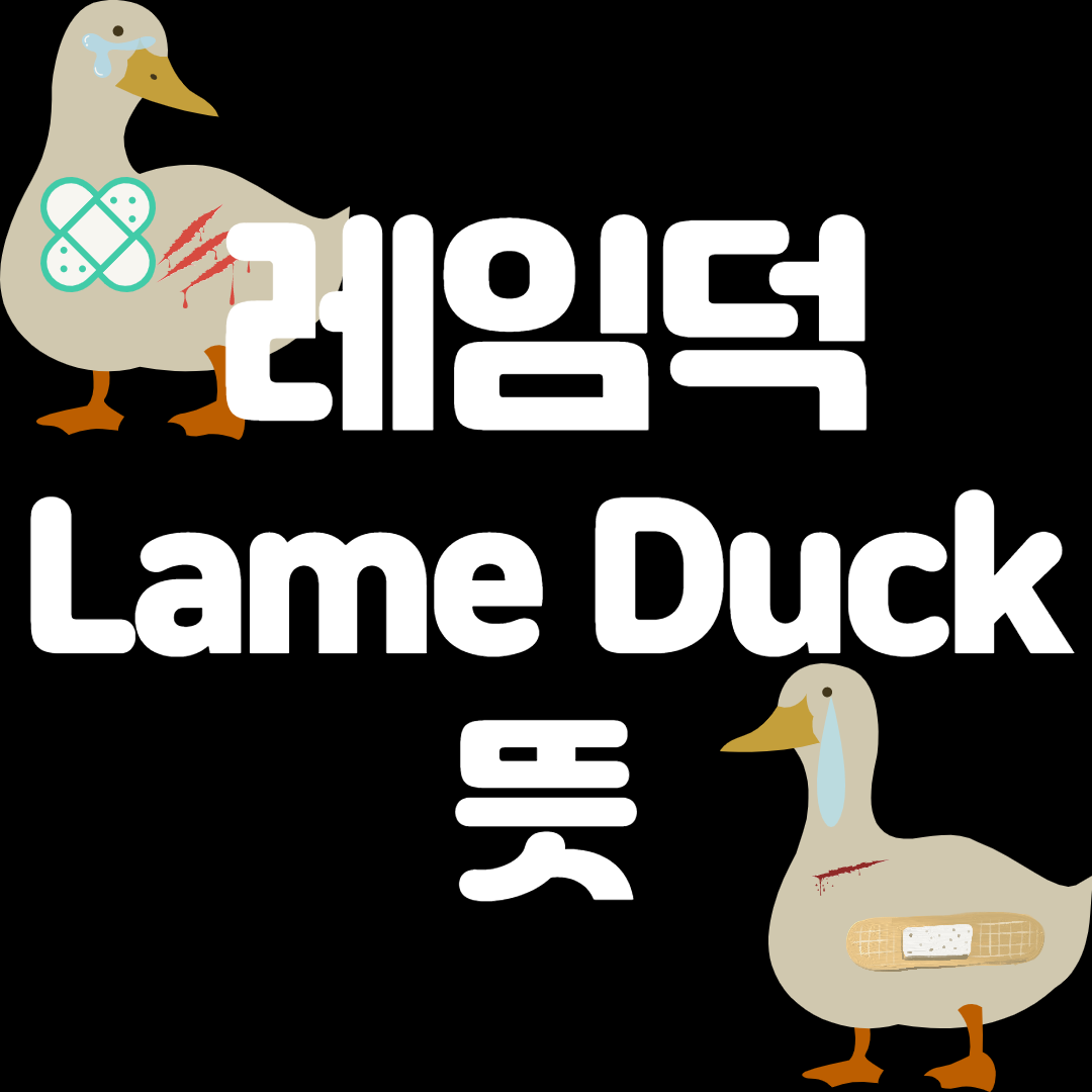 Lame duck meaning