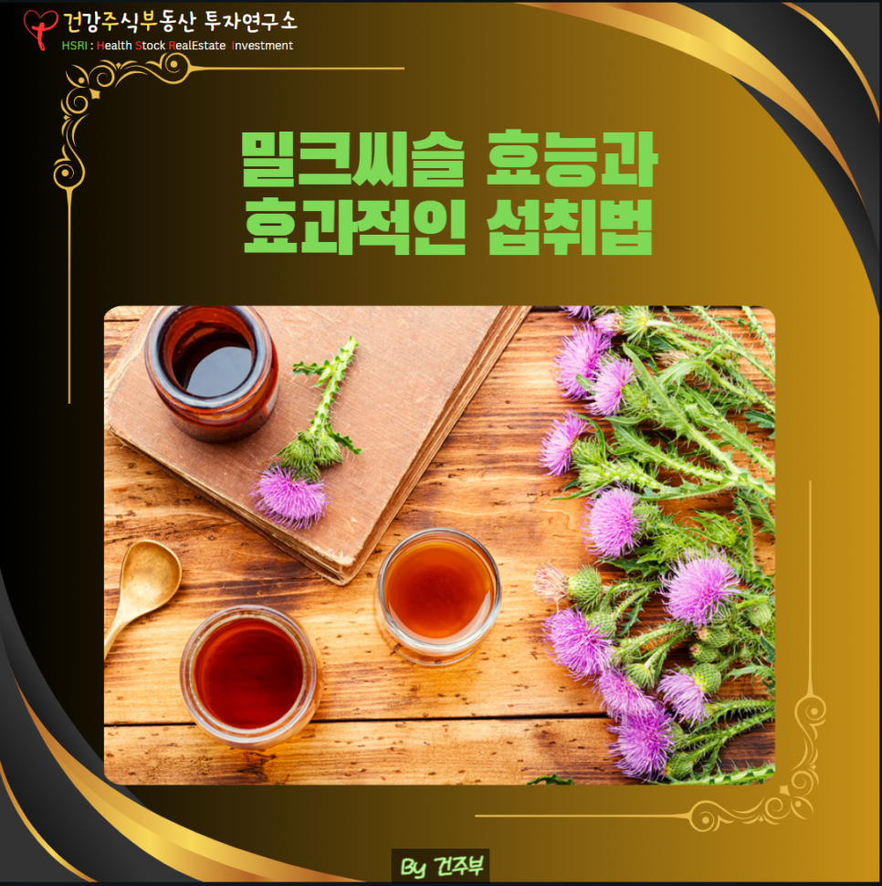 밀크씨슬 효능과 섭취법
(글 그림 : 건주부, 그림 출처 : Canva)