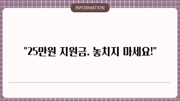 정부지원금 25만원: 신청 및 사용 가이드