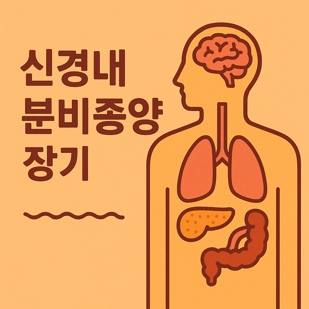 신경내분비종양 장기 관련 이미지