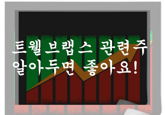  트웰브랩스 관련주 알아두면 좋아요!