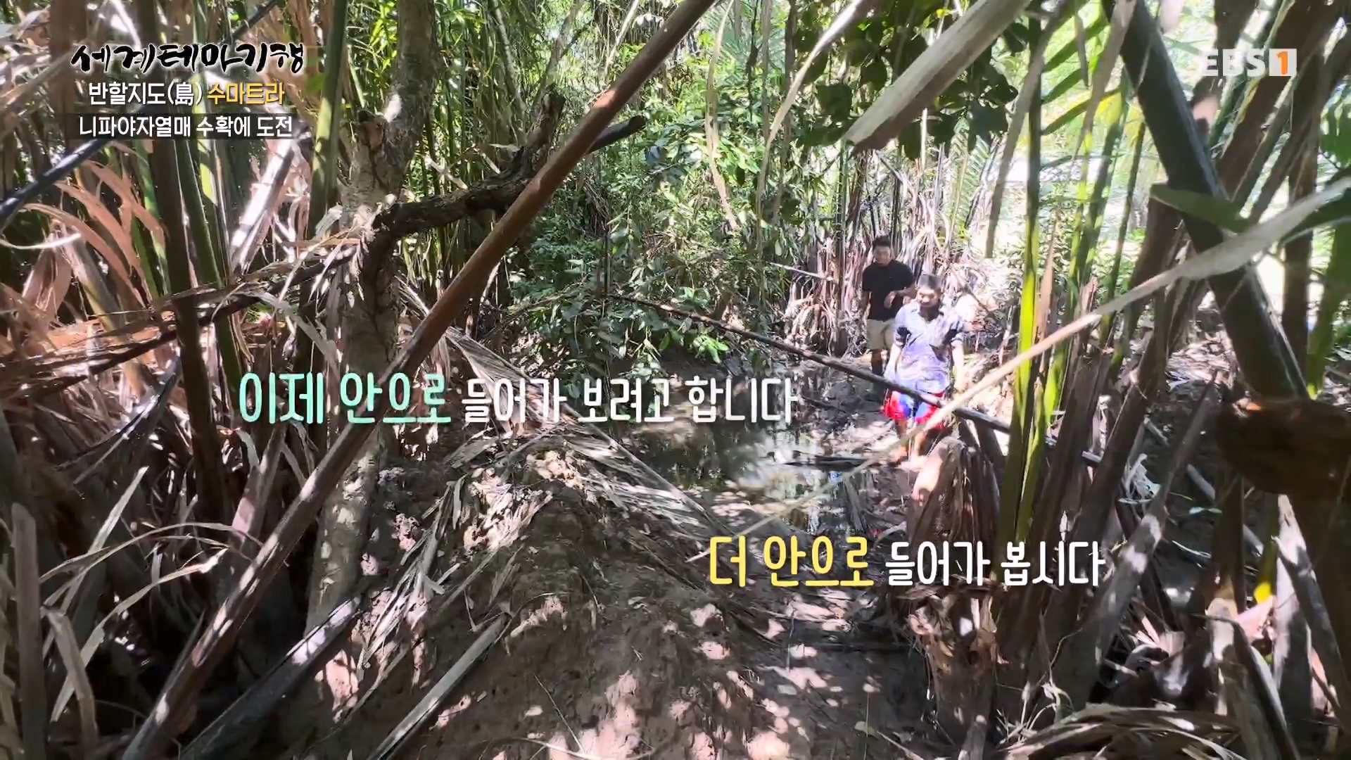 세계테마기행.230803.반할지도(島) 수마트라-4.미낭카바우에 반하다.mp4_20230820_131541.584.jpg